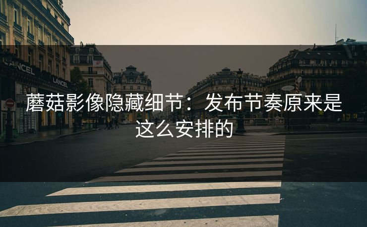 蘑菇影像隐藏细节：发布节奏原来是这么安排的